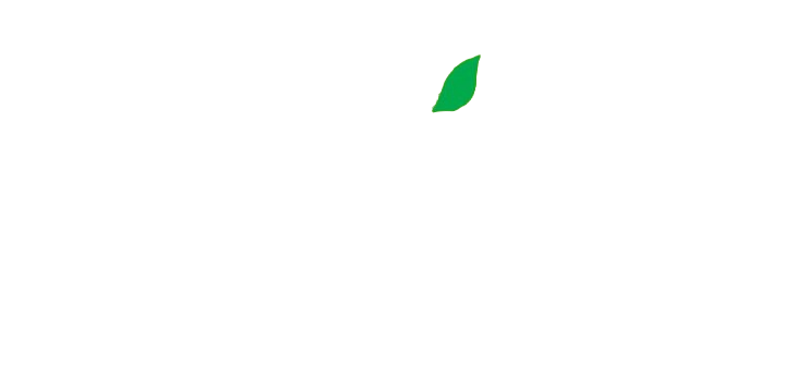 SRK Agencies