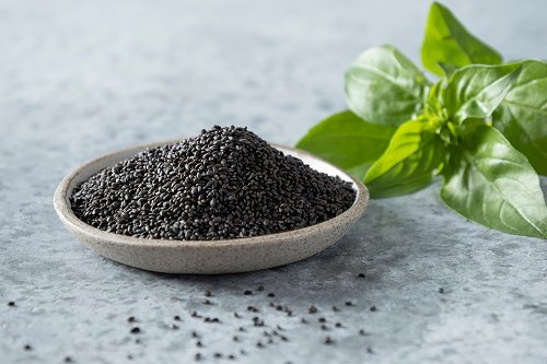 BASILSEED